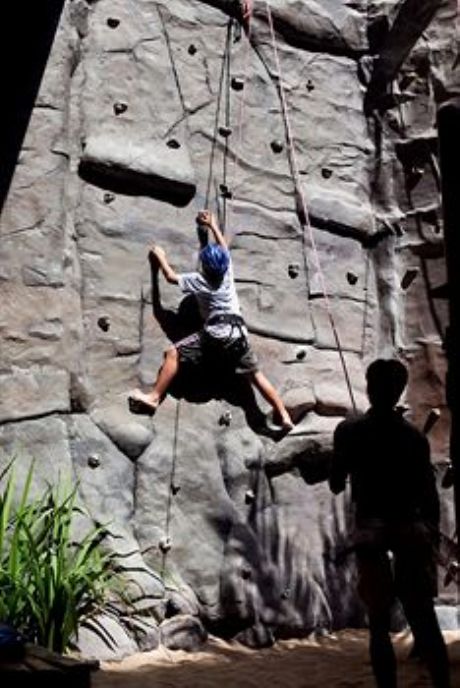 Rock Climbing Wall - Indoor